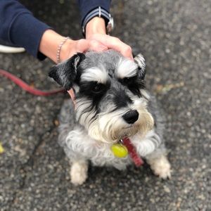 Meet your Posher, Robyn